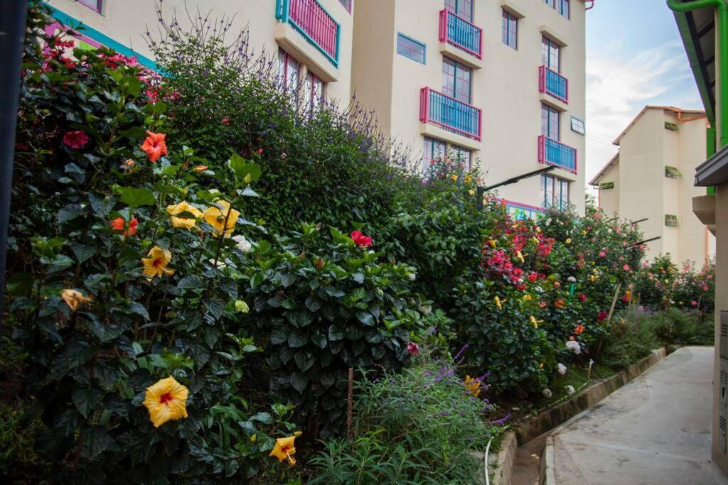 Apartment Duplex Familiar Nature *